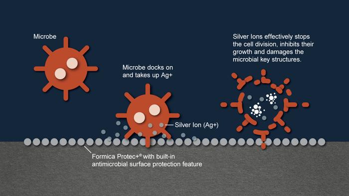 Illustration showing microbes absorbing silver ions from an antimicrobial compact laminate surface, which then inhibits their cell division, growth, and damages key structures for enhanced protection—ideal for restroom partitions.