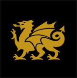 Cambria-inspired golden dragon illustration on a black background, featuring intricately detailed wings, tail, and claws.
